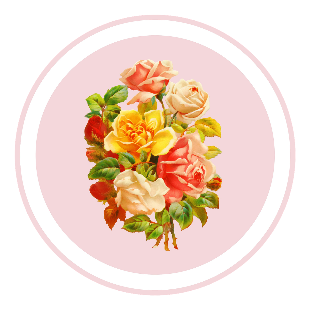 Rose Flower Png Digital Art